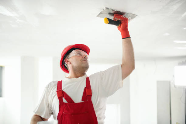 Best Commercial Painting  in Weston, OH