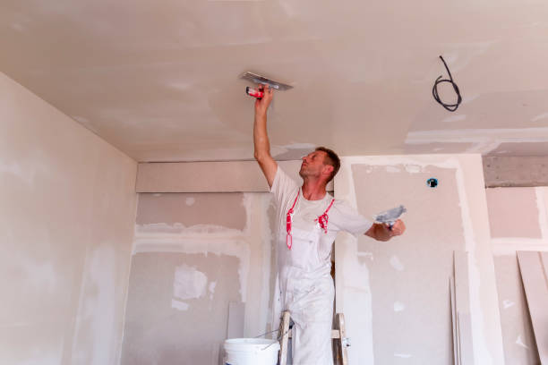 Best Drywall Texturing  in Weston, OH